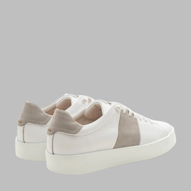 FABIANO RICCI SNEAKER LINE COMBY GREY - Hombre Amsterdam